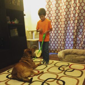 Teach your dog good manners with our in-home Baltimore dog training programs. 